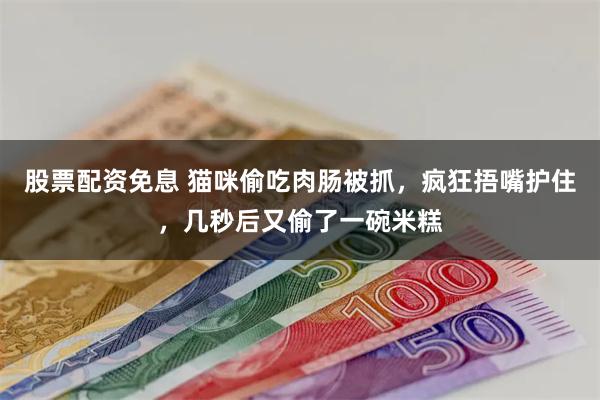 股票配资免息 猫咪偷吃肉肠被抓，疯狂捂嘴护住，几秒后又偷了一碗米糕