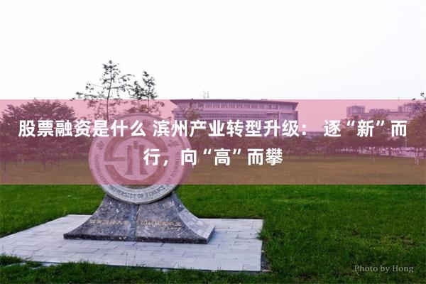 股票融资是什么 滨州产业转型升级： 逐“新”而行，向“高”而攀