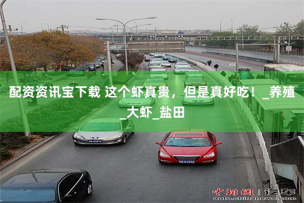 配资资讯宝下载 这个虾真贵，但是真好吃！_养殖_大虾_盐田