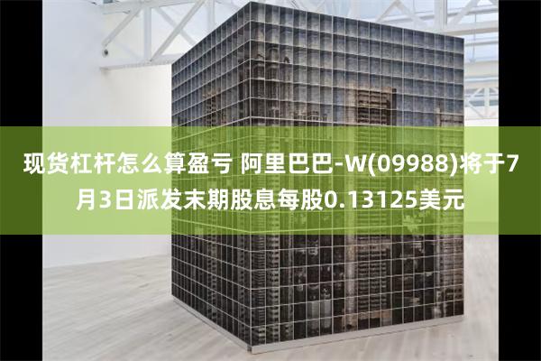 现货杠杆怎么算盈亏 阿里巴巴-W(09988)将于7月3日派发末期股息每股0.13125美元