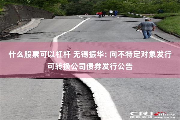 什么股票可以杠杆 无锡振华: 向不特定对象发行可转换公司债券发行公告