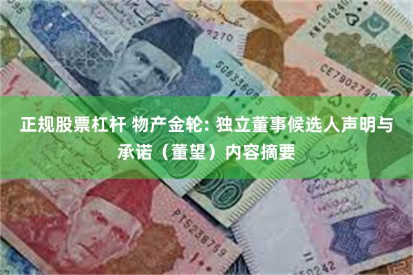 正规股票杠杆 物产金轮: 独立董事候选人声明与承诺（董望）内容摘要