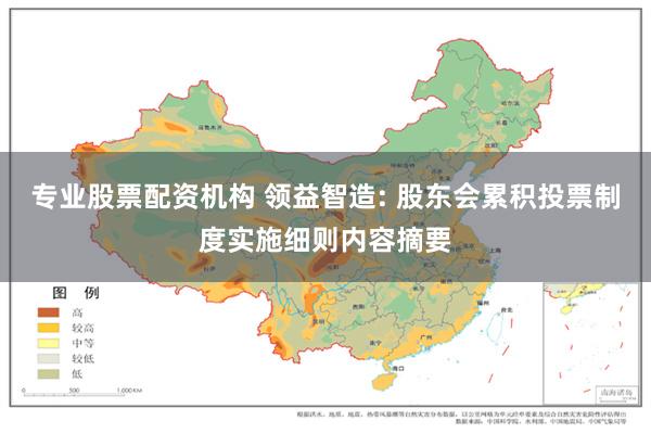 专业股票配资机构 领益智造: 股东会累积投票制度实施细则内容摘要