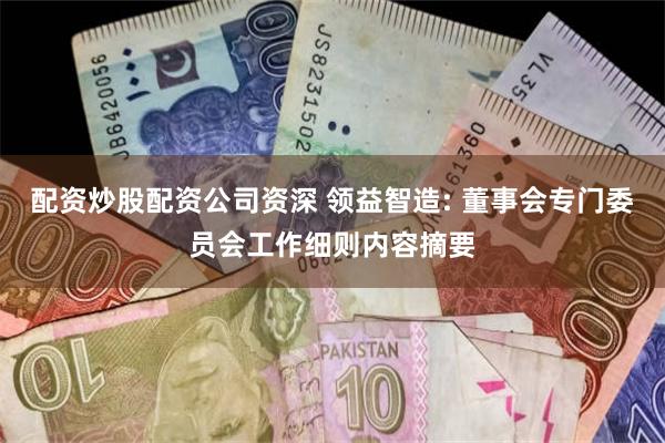 配资炒股配资公司资深 领益智造: 董事会专门委员会工作细则内容摘要